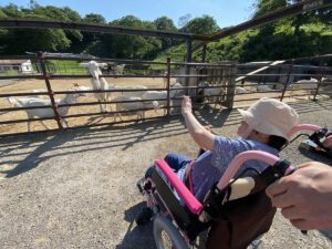 東京ドイツ村のこども動物園